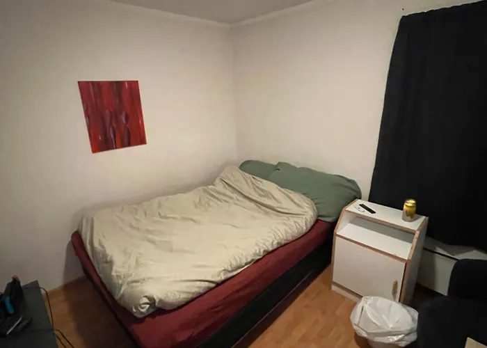 Cozy Single Room Bedroom