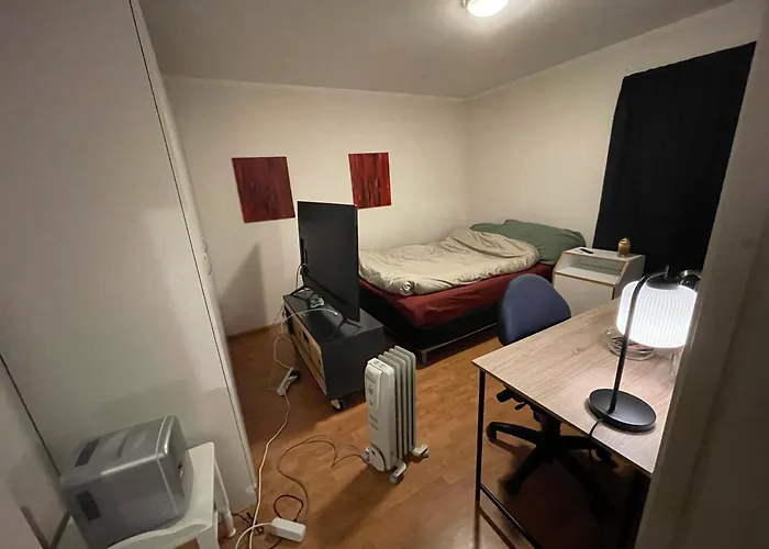 Cozy Single Room Bedroom